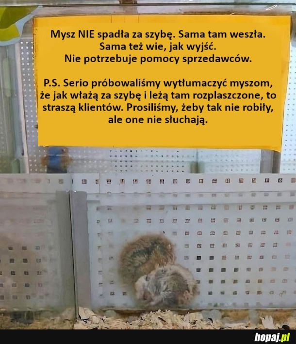 Nie słuchają