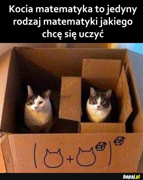 Matematyka