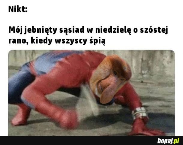 Wstawać kurły nie ma spania 