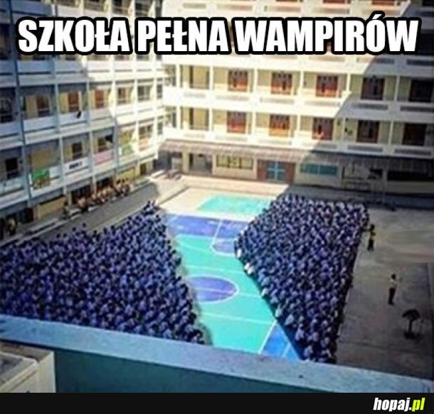 SZKOŁA WAMPIRÓW