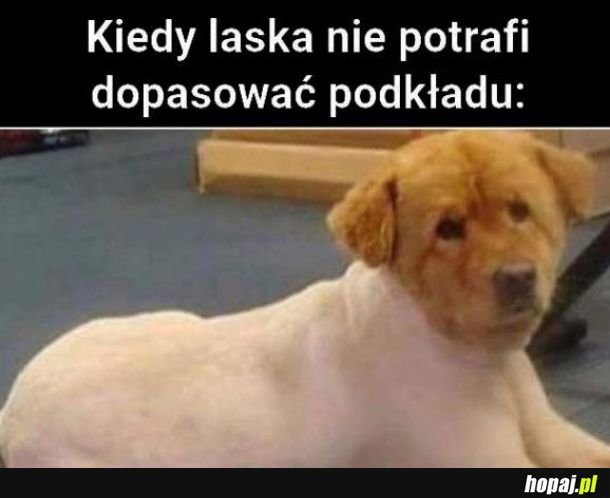 Typowa karyna
