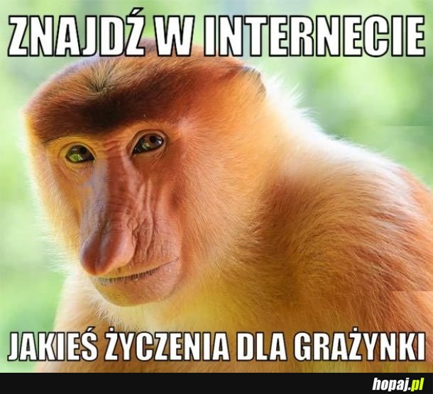 Życzenia znajdź