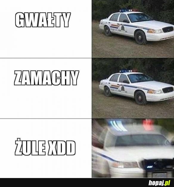 Policja xD