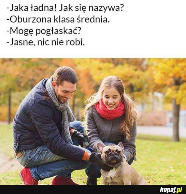 Klasa średnia