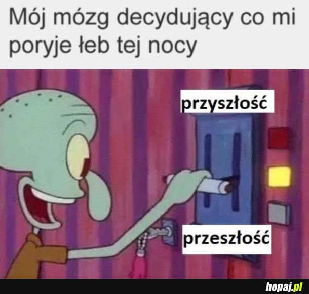 Mózg