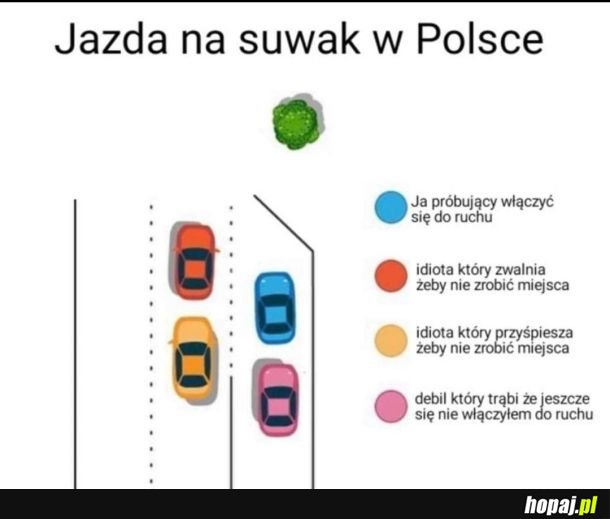 Polski suwak