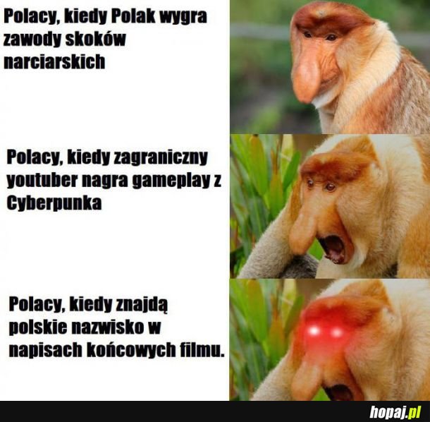 Polacy w mediach