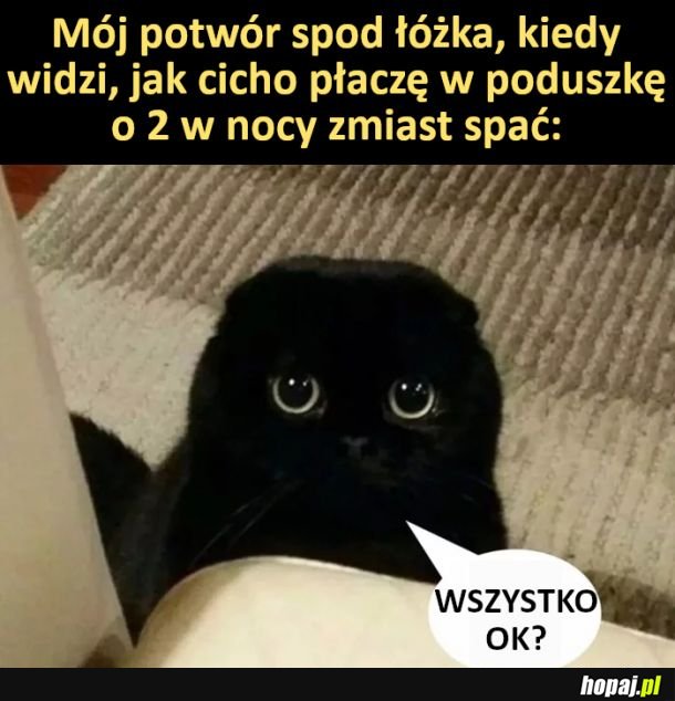 Powtór spod łóżka
