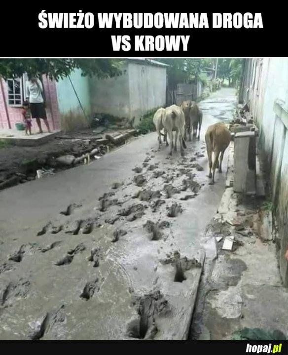 Coś poszło nie tak