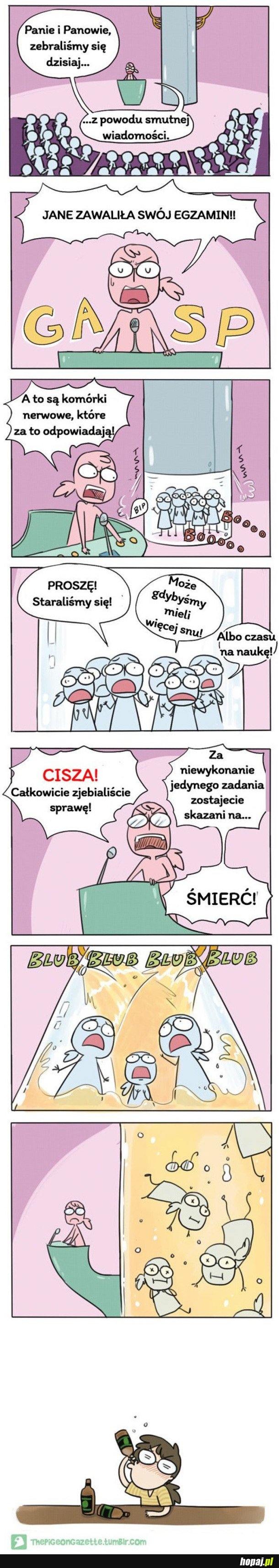 KIEDY ZAWALISZ EGZAMIN