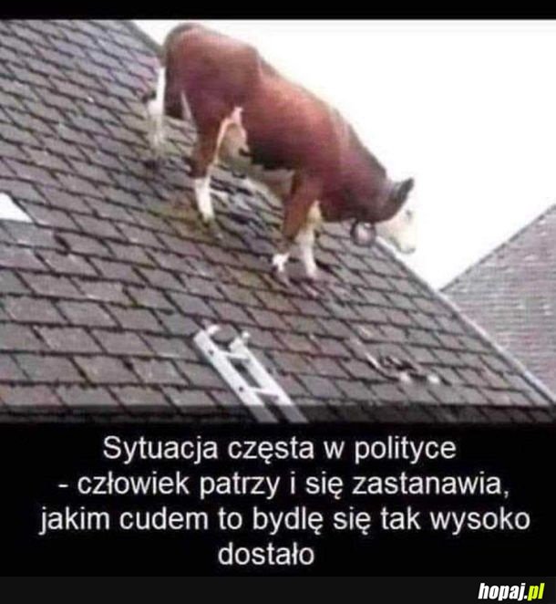 Życie