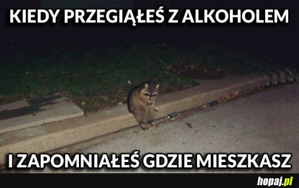 KIEDY ZAPOMNIAŁEŚ GDZIE MIESZKASZ