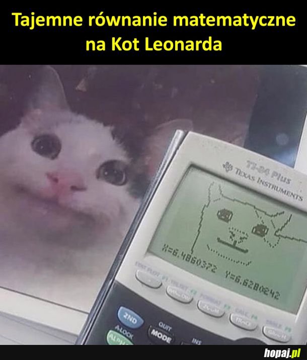 Kot Leonarda