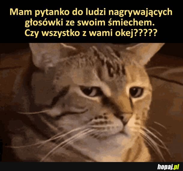 No właśnie