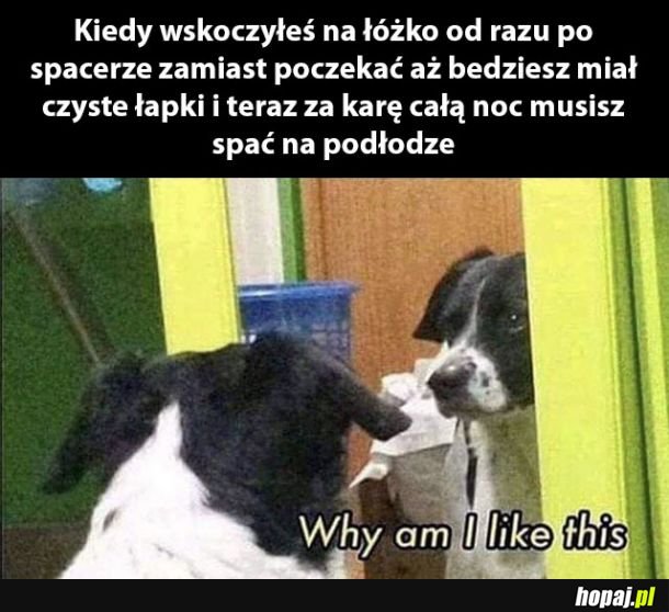 Nie mógł się opanować