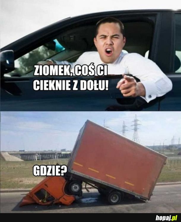 Ziomek