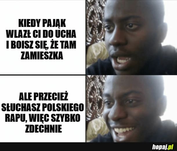 Biedny pająk