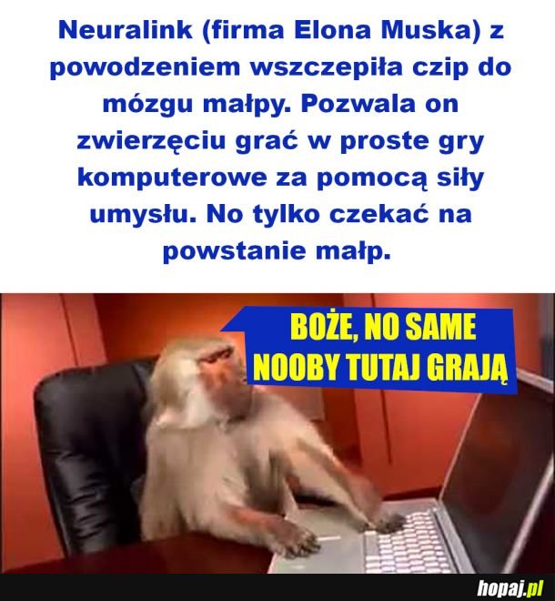 Lamicie ludzkie niedołęgi