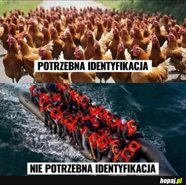 Identyfikacja