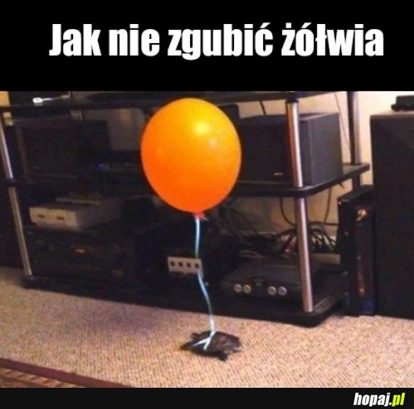 Jak nie zgubić