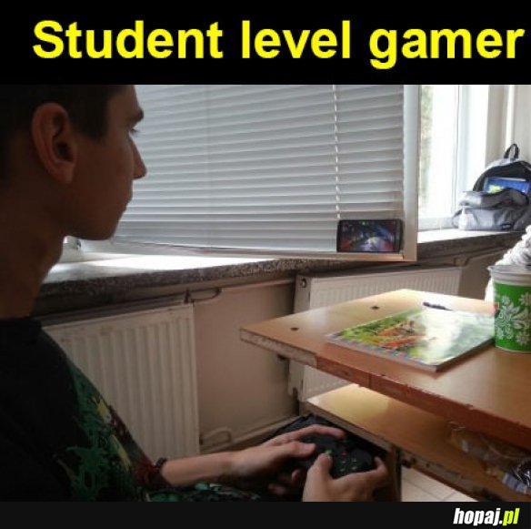 Student lvl gamer