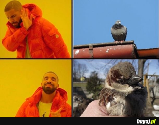 Przysłowiowo 