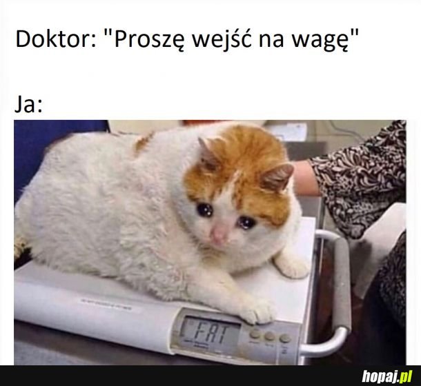 FAT