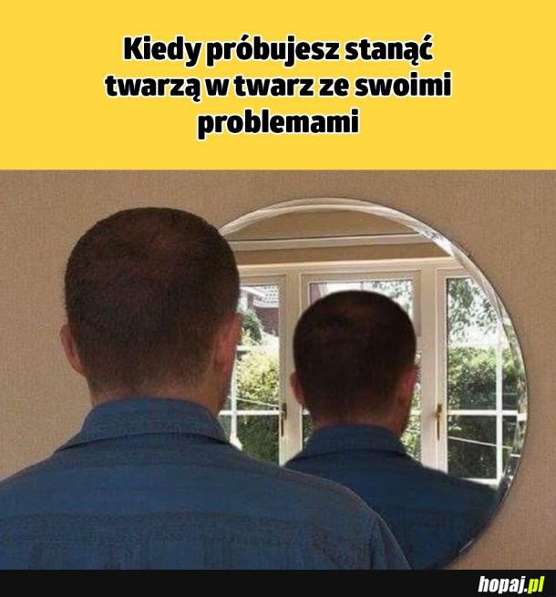 Witam państwa