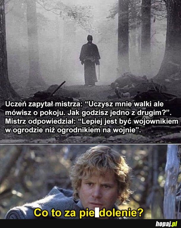 Uczeń i mistrz