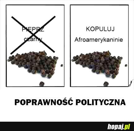 Poprawność polityczna