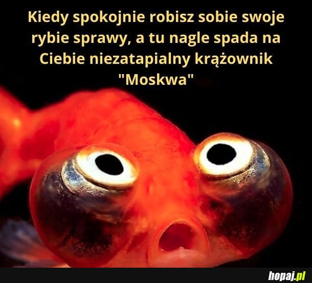 Moskwa