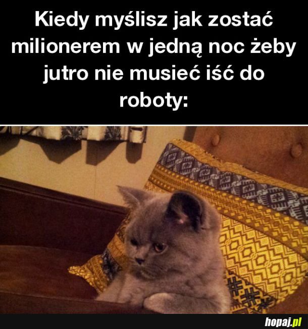 Potrzebuję dobrego planu