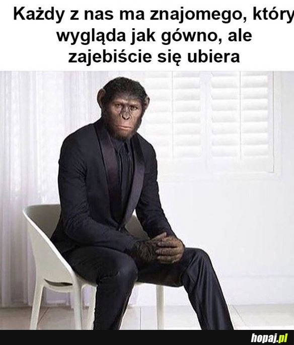 Coś w tym jest