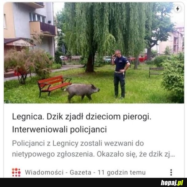 Tylko dla ludzi o mocnych nerwach