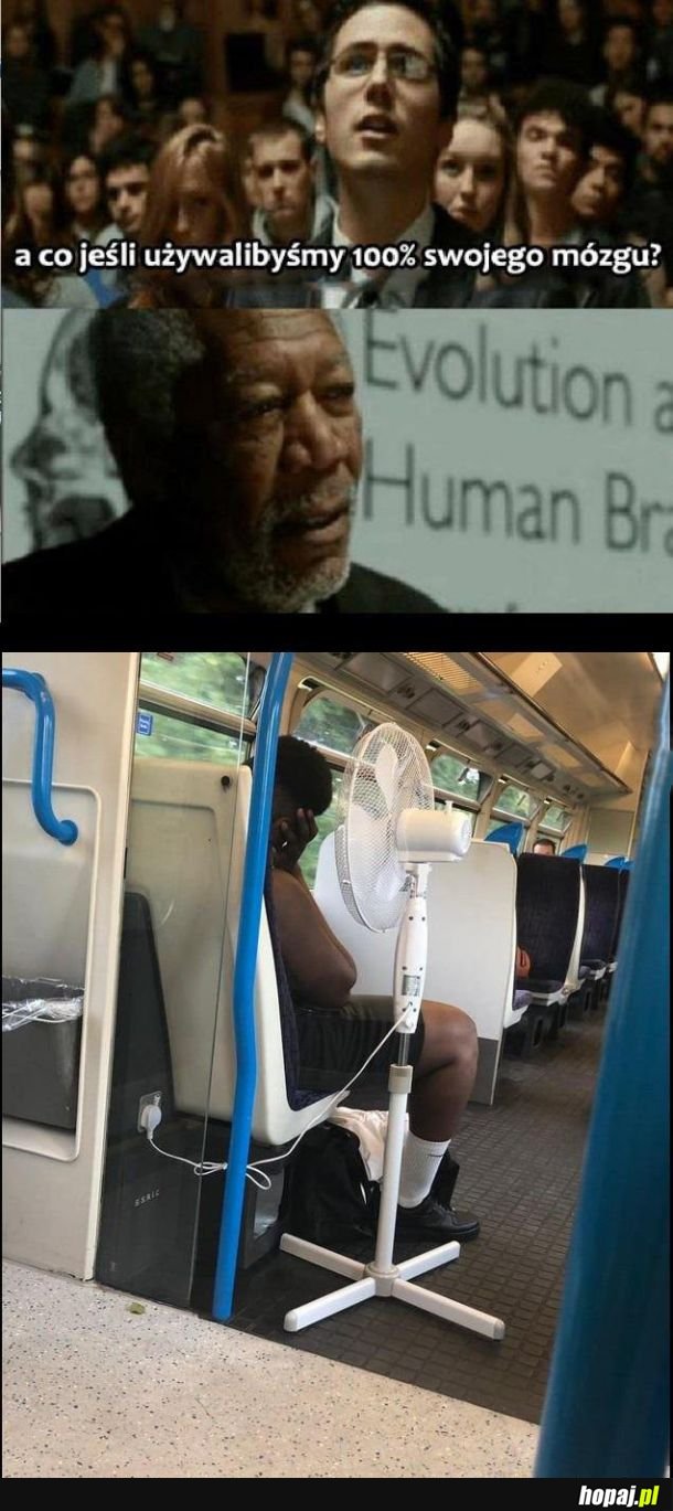 Big brain time