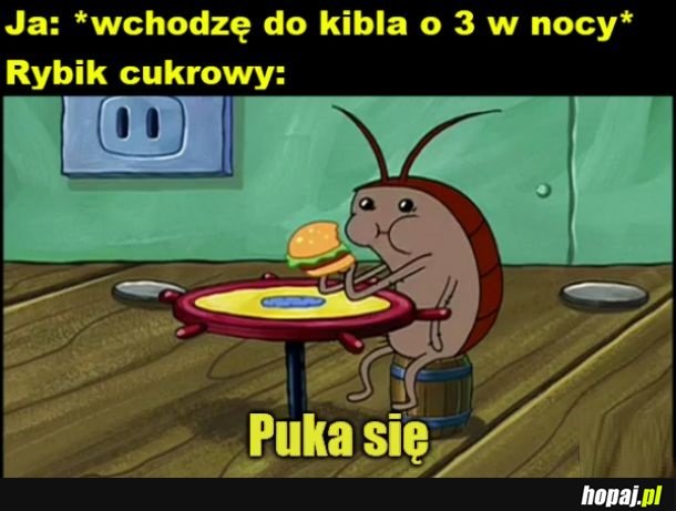 Dzień dobry