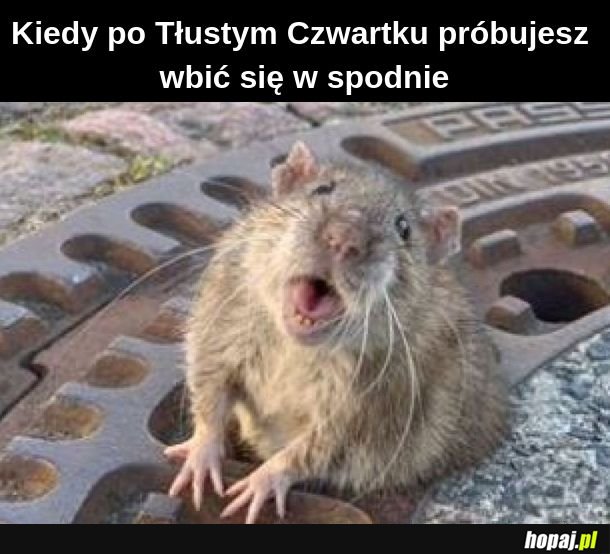 Spodnie 