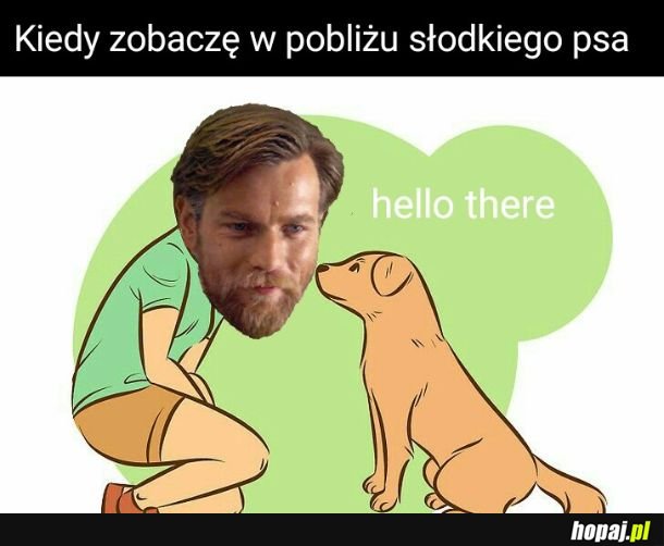 No cześć!