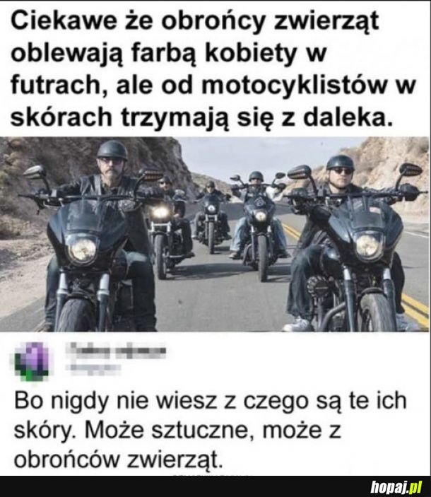 Zagadka rozwiązana