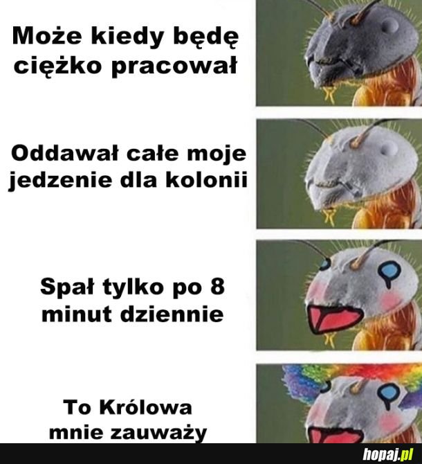 Na pewno