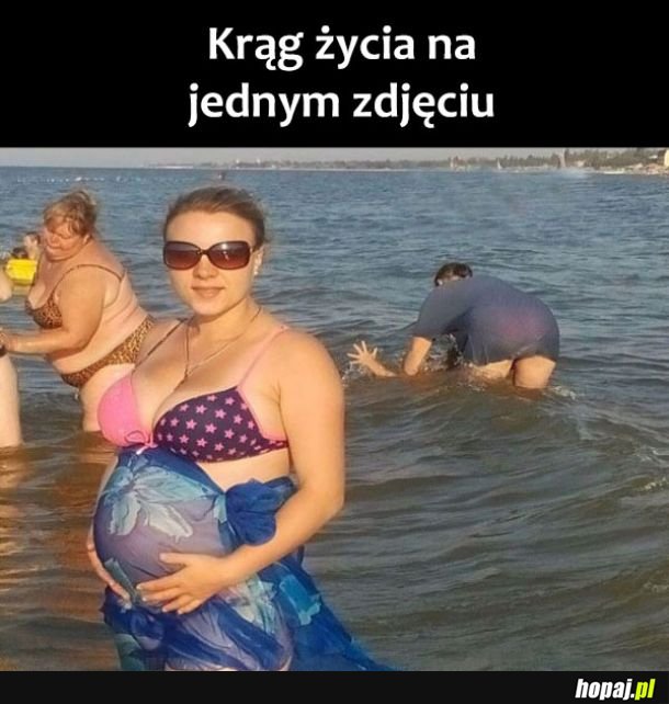  Krąg życia 