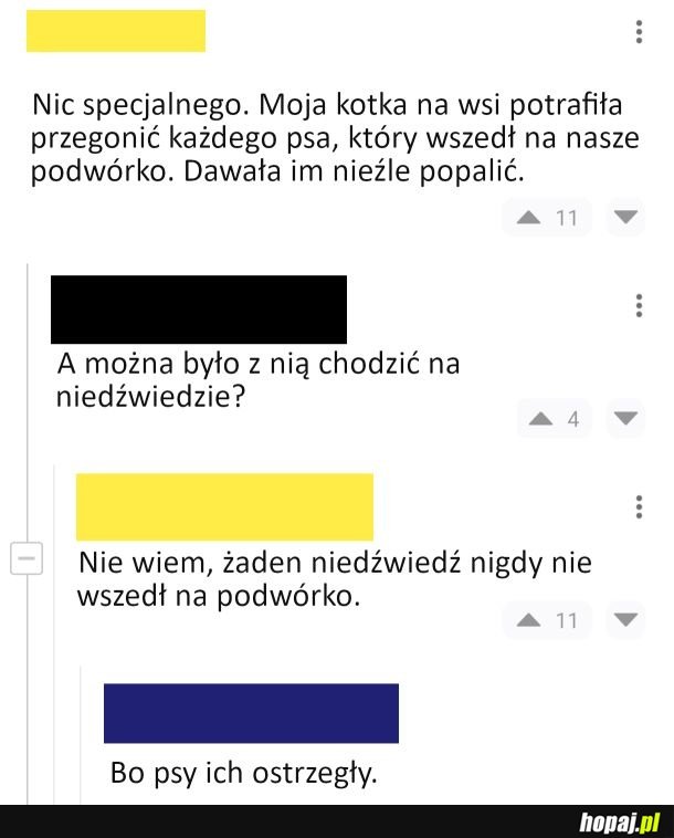 Kotka bojowa