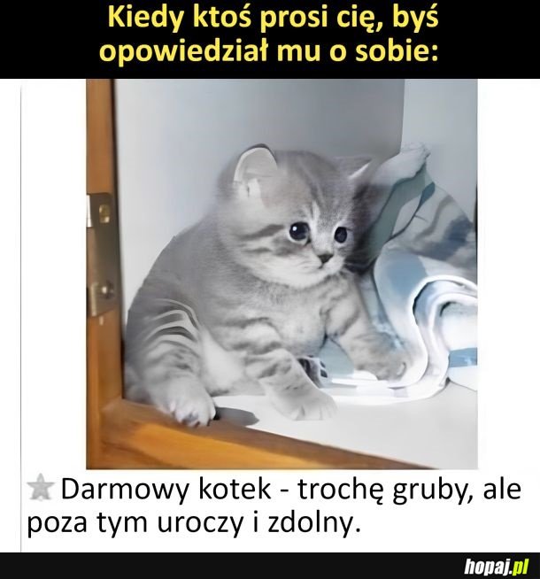 Cały ja