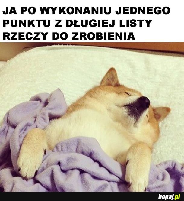 Zmęczenie