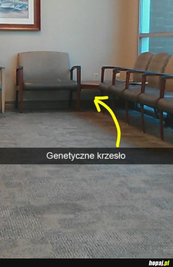 Wielka genetyka