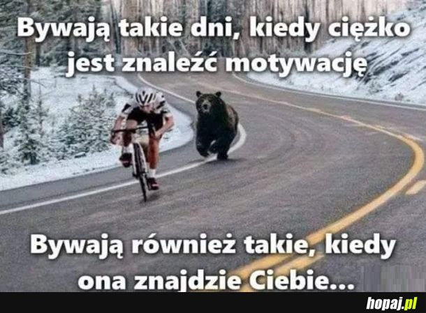 Grunt to dobra motywacja