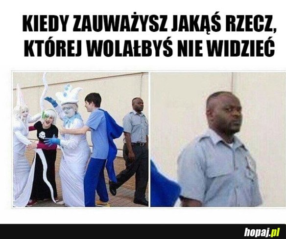 WIELE JUŻ TAKICH RZECZY WIDZIAŁEM