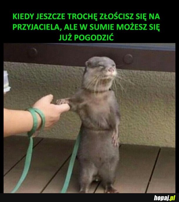 POGODZILI SIĘ