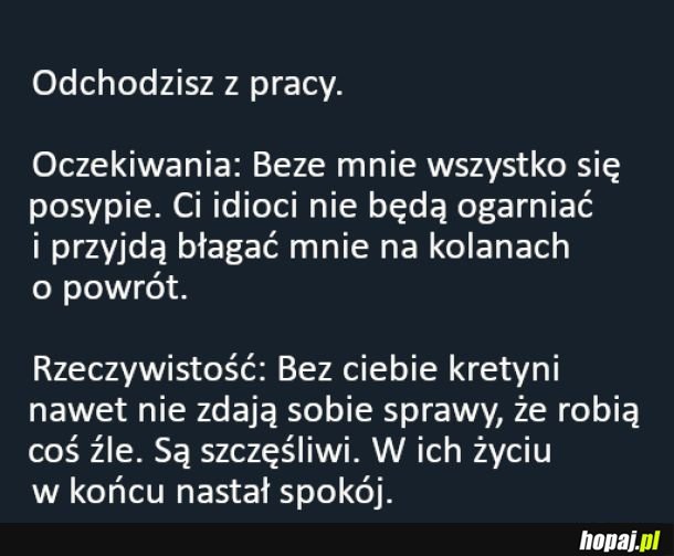 Oczekiwania vs rzeczywistość