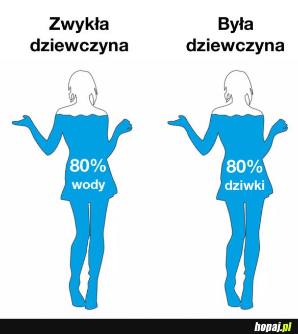 ZWYKŁA DZIEWCZYNA VS. BYŁA DZIEWCZYNA